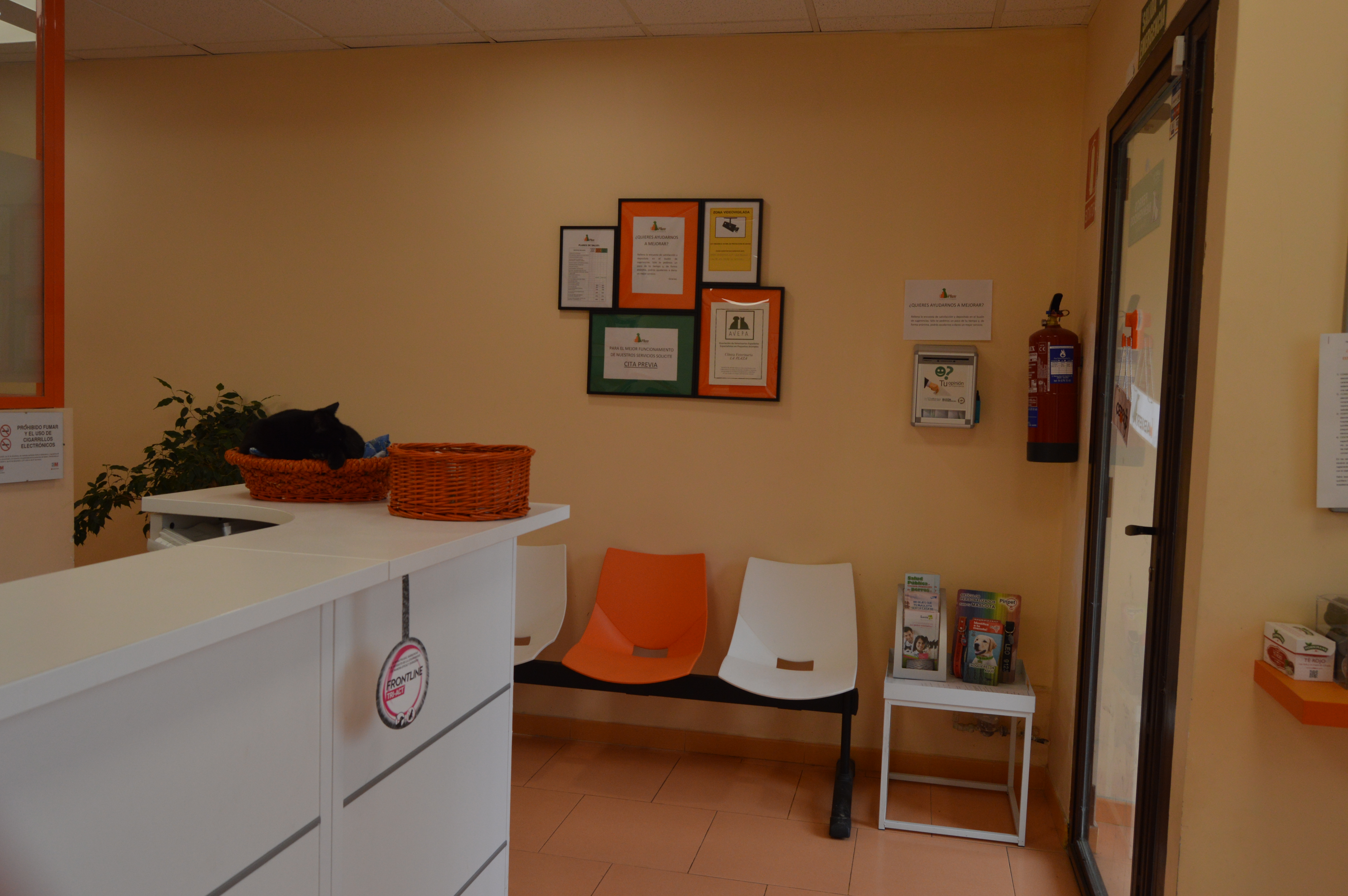 Contacta con nosotros